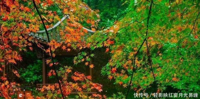 潇潇|这首宋词冷僻而惊艳,寥寥数语,写尽世间最刻骨的相思,一眼入心