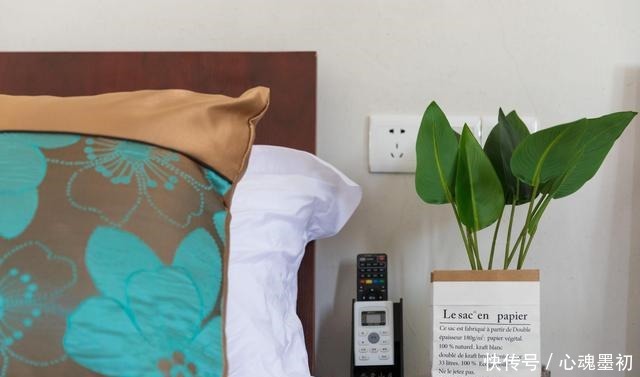 卧室就养4种花,“养人”又养气,不是没有道理!