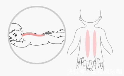 脾阳|脾虚百病生!一文区分脾气虚、脾阴虚、脾阳虚,辨证调理疾病远离