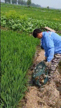 |搞笑GIF：我觉得老婆算的对，当然不是因为昨晚那顿饺子