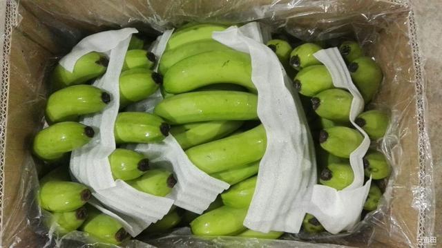 乙烯|营养师提醒买香蕉时,2种香蕉即使买了也别吃,很多人在犯傻