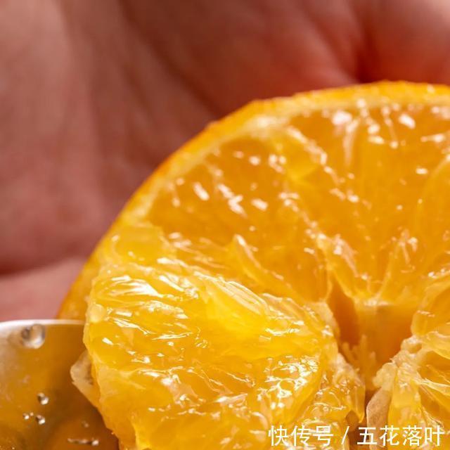 到底|到底多好吃的橙子,才配叫果冻橙