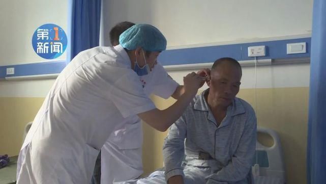 医院|老张从树上坠下,醒来后发现耳朵在自己手里