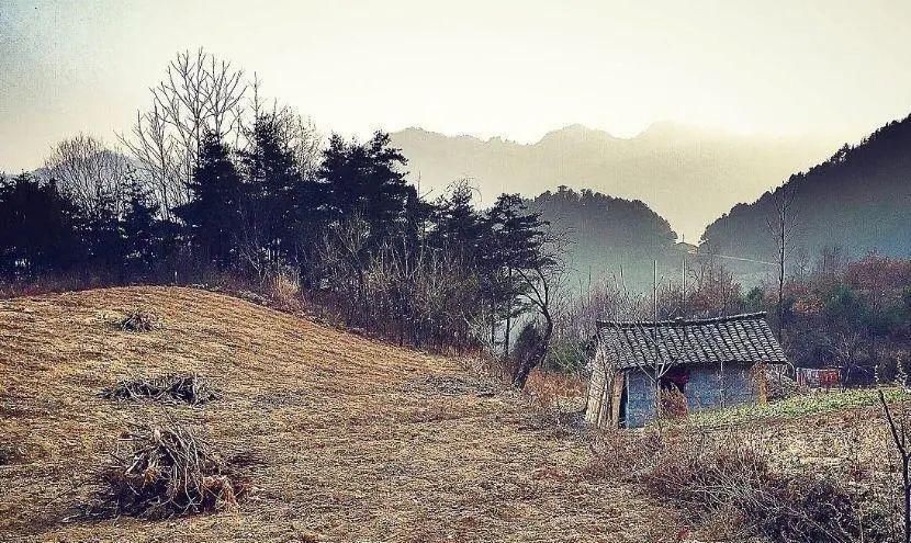 带上孩子跟着诗词去旅行之《山居秋瞑》