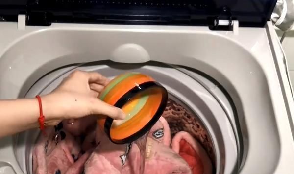 洗衣服别再只放洗衣液了,多加一碗它,洗出来的衣服更加干净卫生