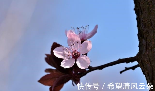 旧爱|红尘滚滚,痴迷旧爱,爱情难逃,心怀希望