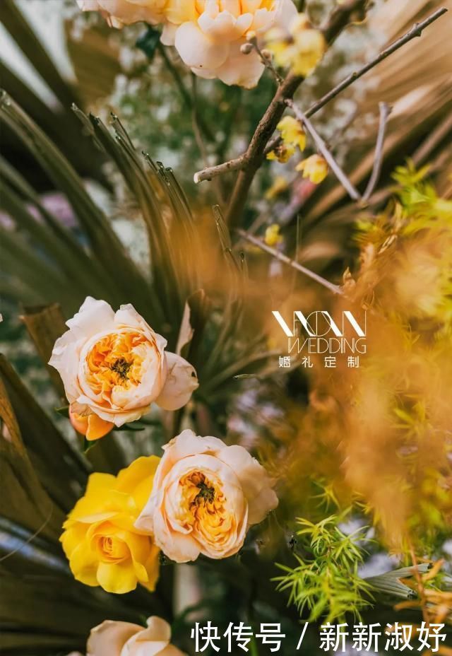 见到|当见到你时,整个世界都是爱情的颜色,彩色户外婚礼