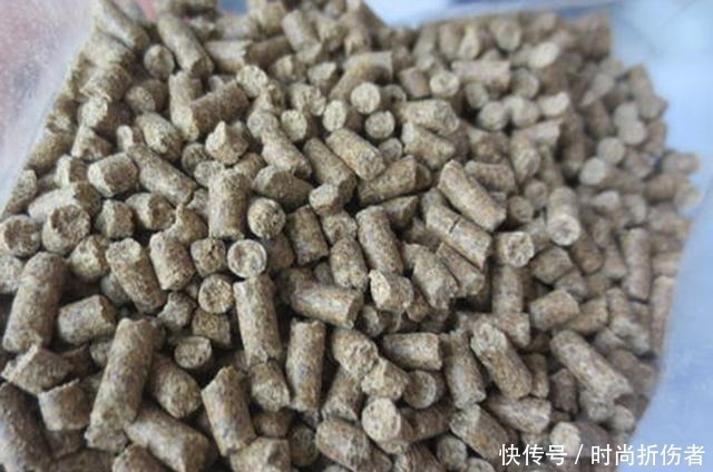 鲫鲤通杀鱼饵配方公开，钓鱼用它旁边钓位鱼都不开口