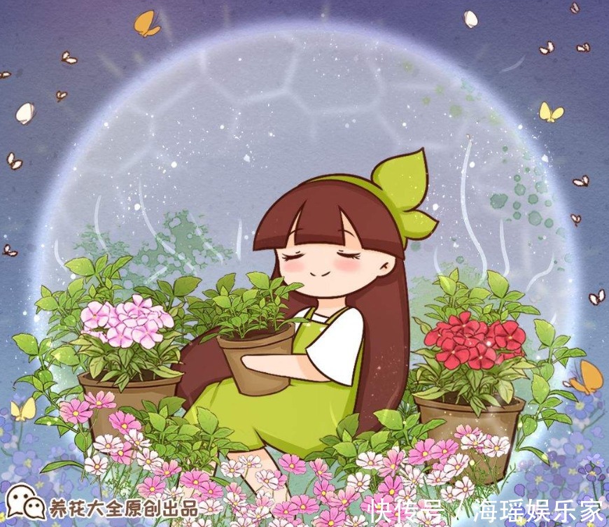 你喜欢什么花,就是什么性格的人,都进来看看吧!