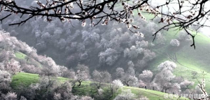 名篇|宋朝诗僧独自外出游玩,看到迷人的风景,写下一首唯美的千古名篇
