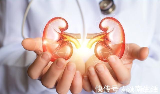 雄激素|提高性能力的4种食物,男人没事吃两口效果会出乎你意料