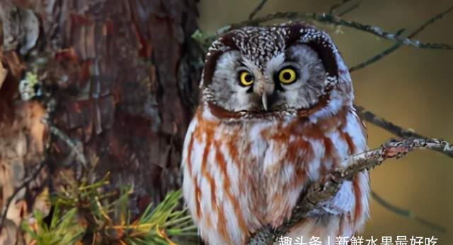 四大|农村有“四大怕、四大喜、四大急、三大宝”,道出农村人的智慧