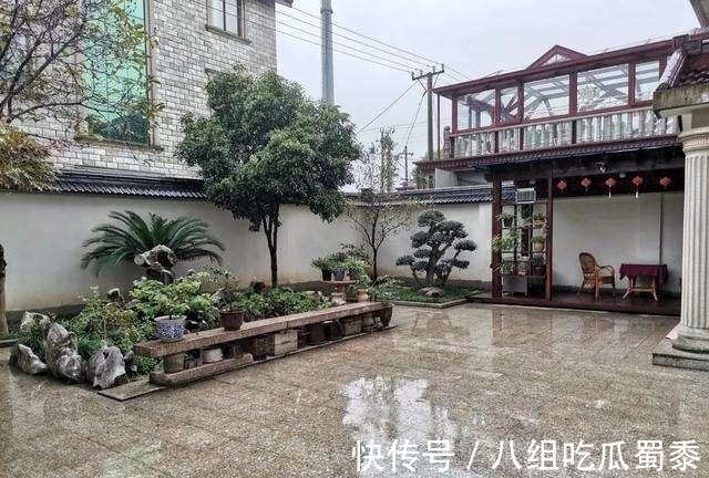 这6种花的寿命很长，养成“老桩”后，价值大增，越老“越值钱”