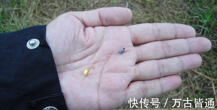 小可钓白条,大可钓青鱼,抖灰面,性价比就是这么高