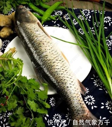 做红烧鱼,最忌只用料酒和醋去腥,老师傅都这么做,肉质嫩滑爽口!