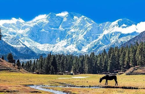 真相|他为了成为登山之王，在8000米山顶抛弃亲弟弟，最后说出真相