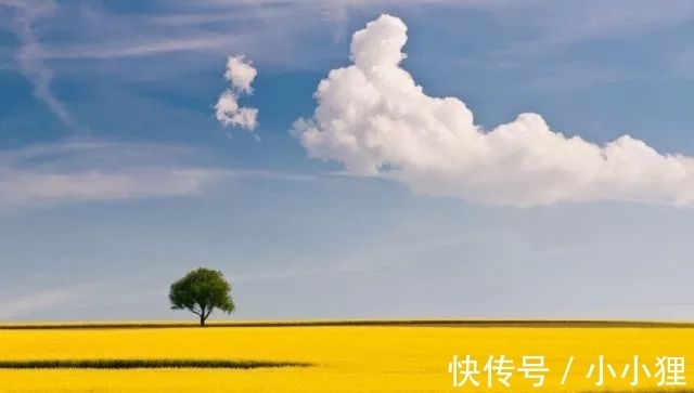 子产$《左传》:教你如何看清事情真面貌