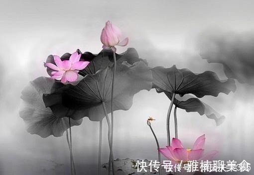 人生在世@佛教最经典的24句话,修身养性,不看是你的损失!