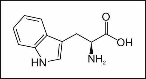 血清素|打碎你梦的，不一定是手机，失眠的另一大原因揭秘