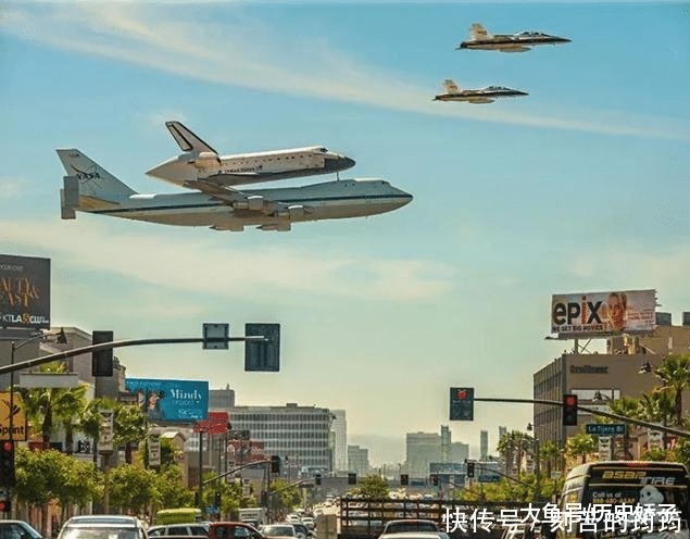 电子显微镜 22张“活久见”的照片,令人大开眼界!