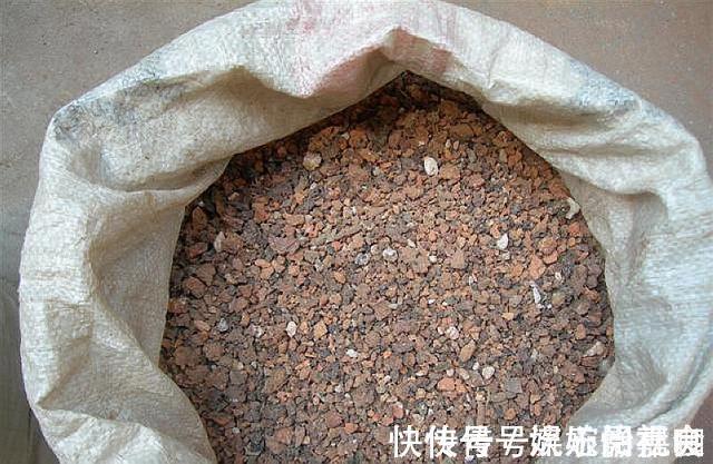 旧土|养花旧土别扔,“3样”东西加一点,土质肥沃,养花特旺,开花多