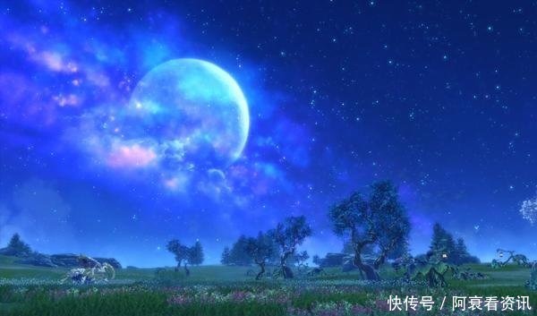 8步识人,不肖之徒,原形毕露