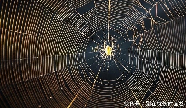 “宅子现四喜,家中出能人”,实际指代啥专家反正听了不吃亏