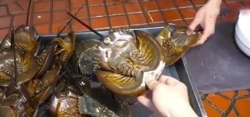 掰开|大娘甩卖“万人迷”小吃,10元一只,以为被坑了,掰开后连吃十只