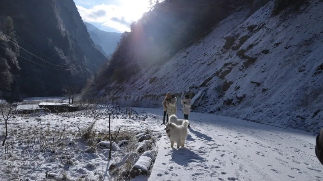 雪景|迎冬奥，游汶川/雪山漫游，无忧汶川等你来嗨！