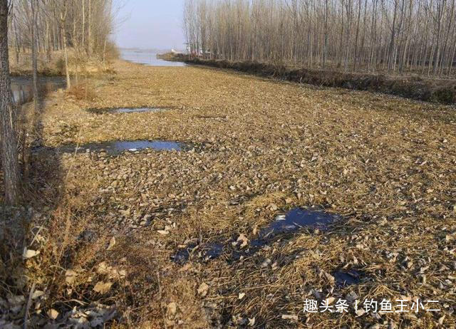 冬季钓鲫鱼,不注意这些基础知识,就是白白浪费上鱼良机