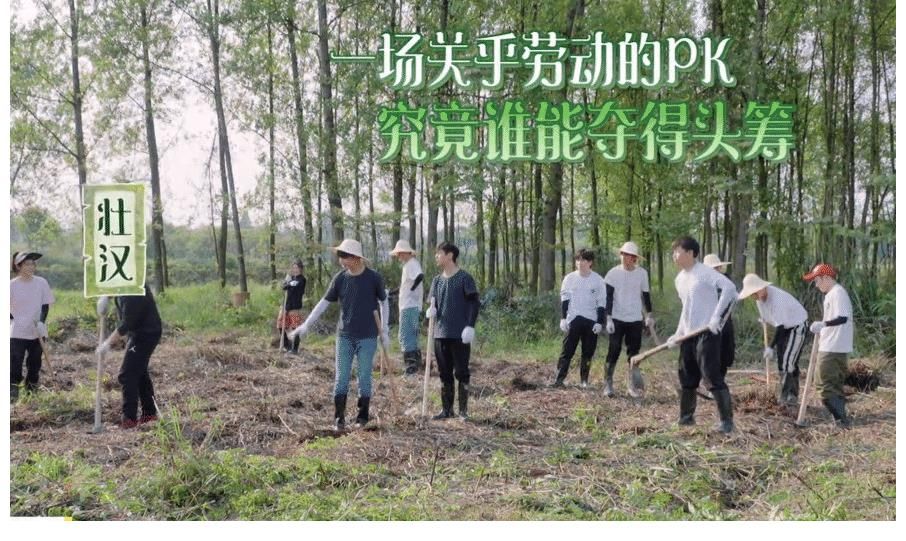 维嘉|下期维嘉带队来向往5,嘉宾吃饭如流水席,预告精彩连追3遍不停