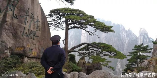 大红袍|中国最贵的三棵树,前两棵配有警卫,最后一个却有点不一样