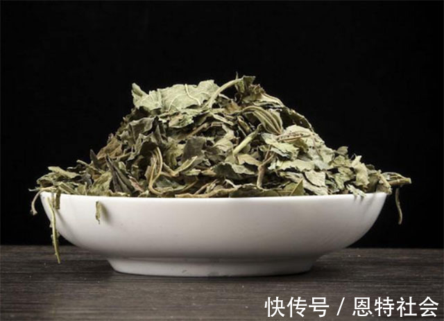 菊花|肝脏功能受损,用这4样中药泡水喝,消肝脂、排毒素,肝渐渐好转