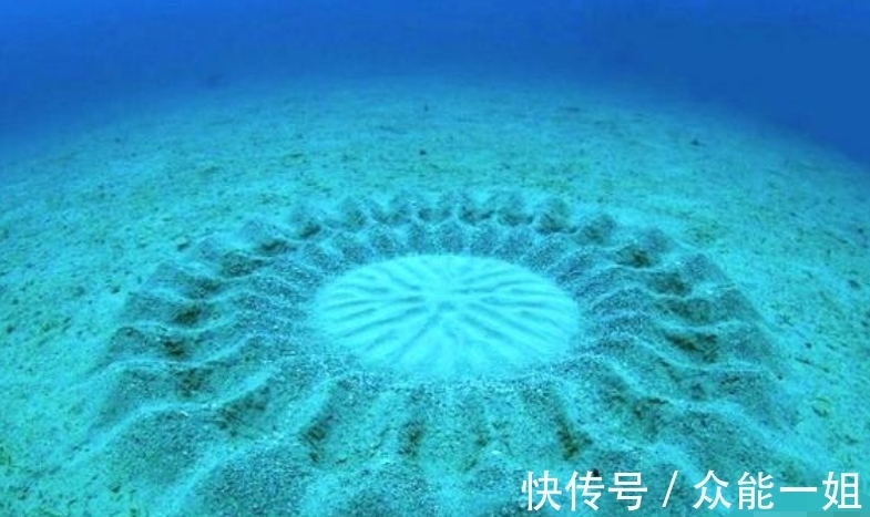 雀鹰|完全冻结的木蛙，与人类指纹几乎相同的考拉，你不知道的生物知识