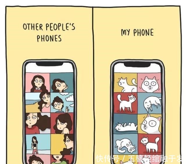 养猫|养猫很有趣吗艺术家用插画描绘出那些,搞笑又暖心的时刻