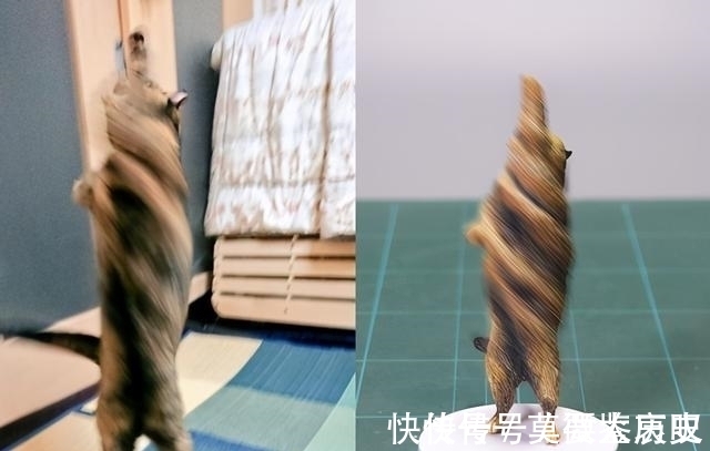 小猫|全球的猫都想屏蔽这个日本人,他到底做了多少沙雕手办?
