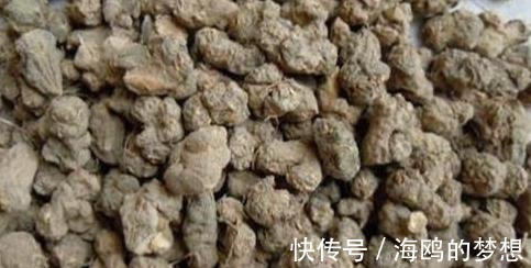 祛风|有一味不被重视的中药，一粒金丹，能祛风除湿、活血通络