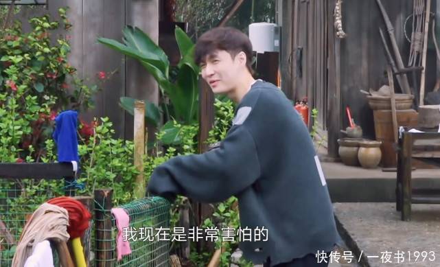 张艺兴|《向往的生活5》张艺兴怕鸡还去掏蛋,是因为杨紫?绯闻CP真拼