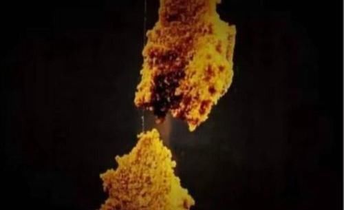 老师傅告诉我用“麦芽糖粘小米钓法”，野钓的鱼获就是不一样