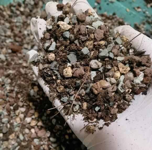 1升营养土等于多少斤 1升营养土等于多少斤