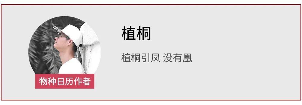 落叶归根|“落叶归根，等待我的却是干锅、酱香和麻辣，呱呱！”