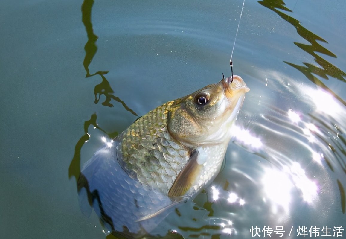 冰眼|适合浮钓鲫鱼的几种常见情况及分析鱼口轻的原因，看完你就懂了