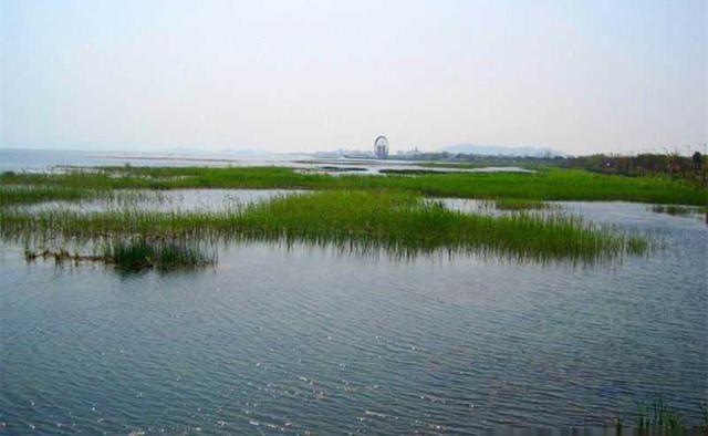 阴转晴|钓鱼与天气:阴天闷热气压低,鱼就一定难钓?夏季阴天如何钓鱼?