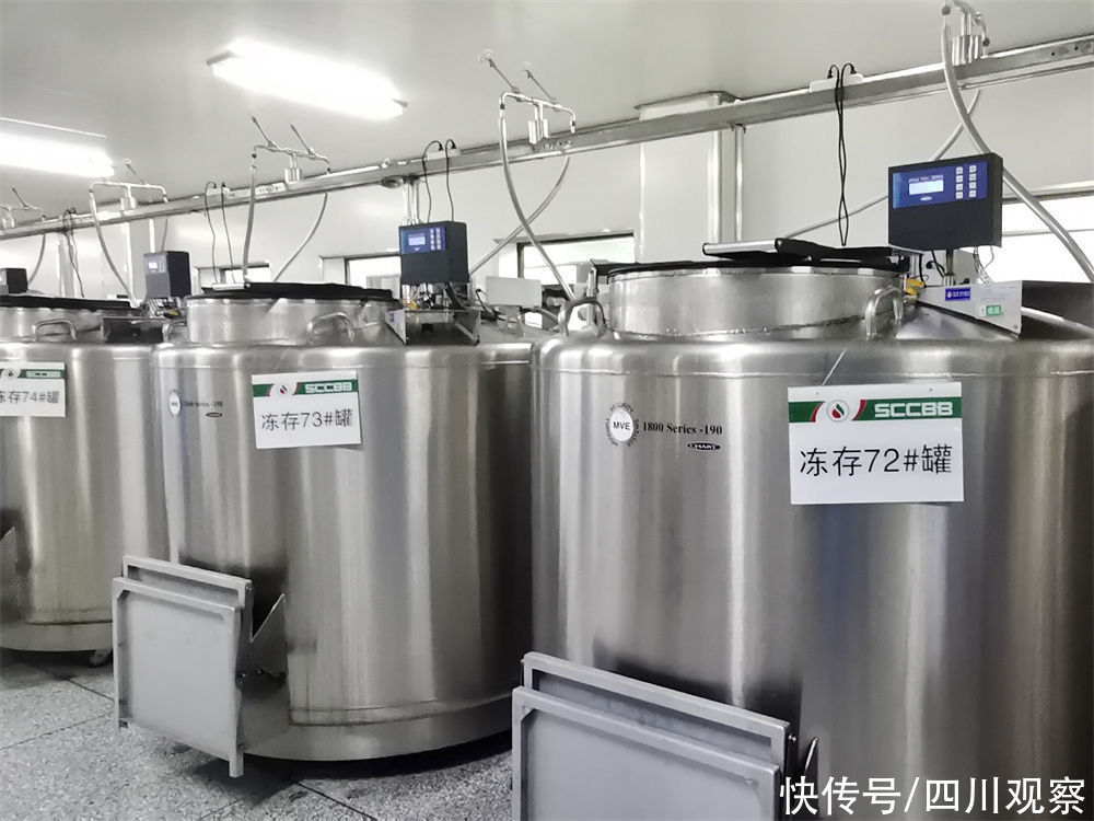 张静|四川首批“脐宝贝”20岁了