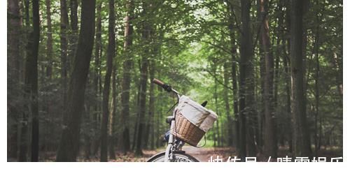 探索|善于探索的4大生肖,直觉敏锐,能牢牢抓住机会让自己人生幸福