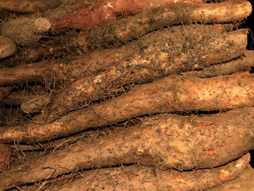 买山药,选粗的还是细的老菜农教你3招,轻松买到优质好山药