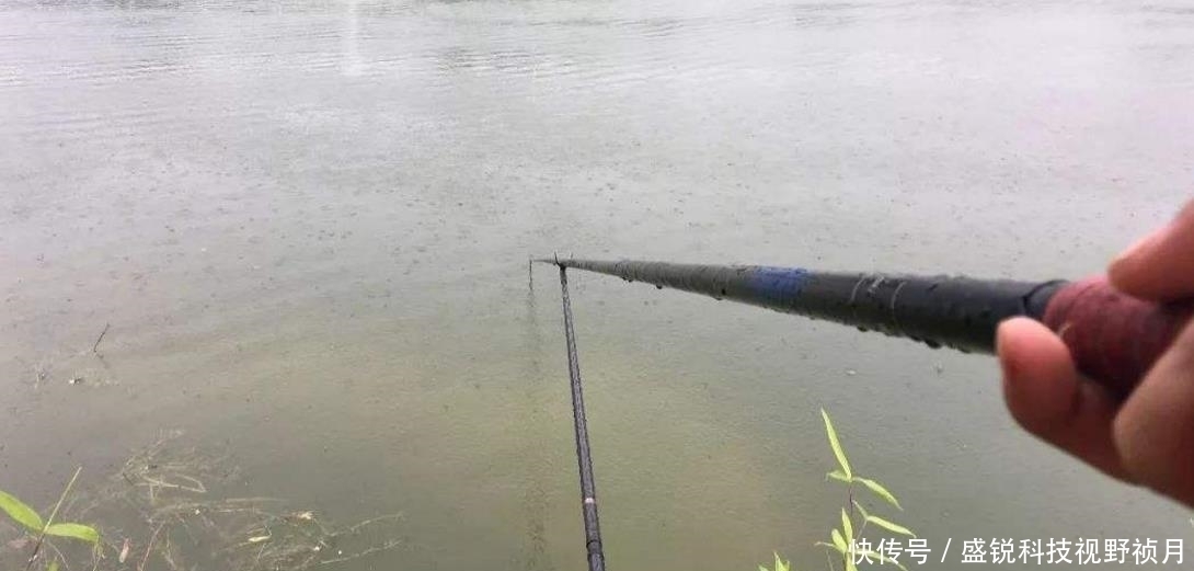 钓友你关注过“竿稍入水”的深浅吗?如还不懂,以下5百字教会你