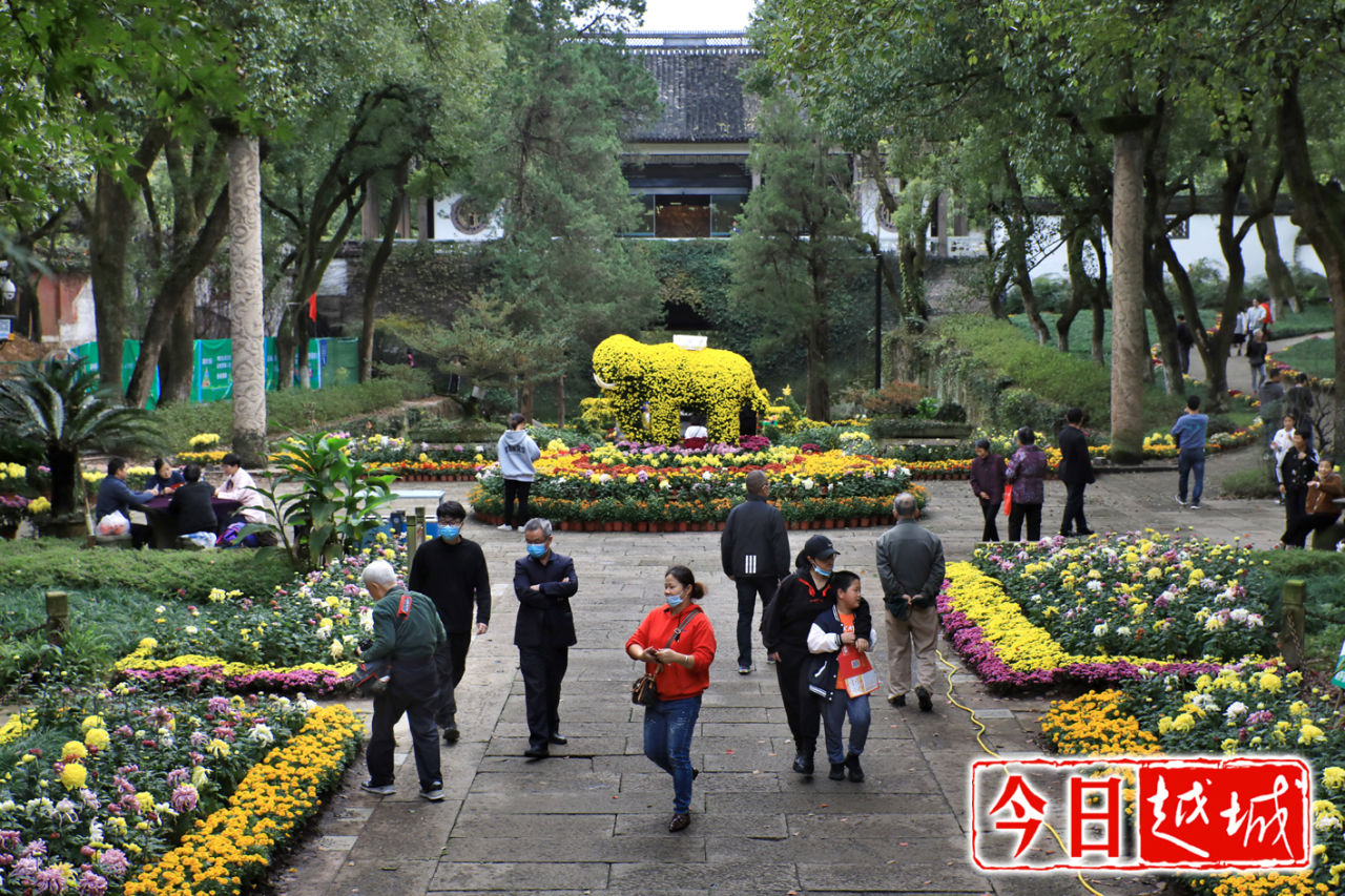 绍兴|古城绍兴：府山赏菊正当时