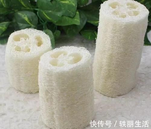 透气性|养花烂根不是大问题!土里埋点它,根须刷刷长满盆,越来越壮实