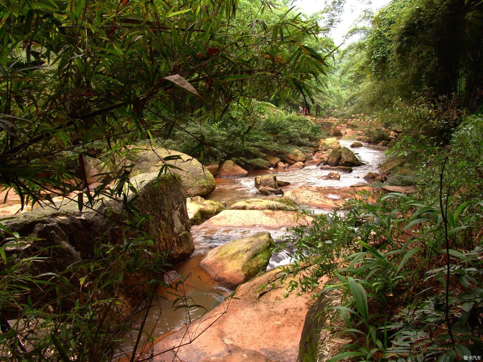 赤水四洞沟没有败笔的景区